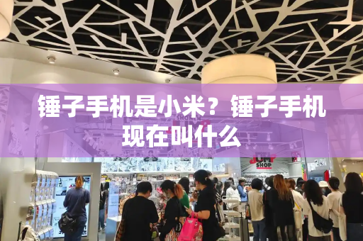 锤子手机是小米？锤子手机现在叫什么-第1张图片-星选测评