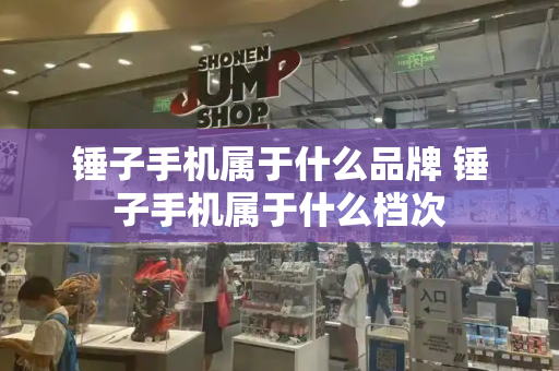 锤子手机属于什么品牌 锤子手机属于什么档次-第1张图片-星选测评