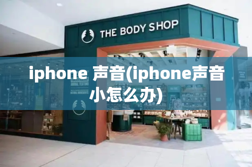 iphone 声音(iphone声音小怎么办)-第1张图片-星选测评