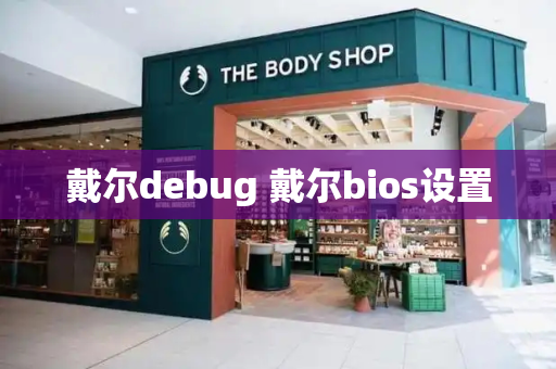 戴尔debug 戴尔bios设置-第1张图片-星选值得买