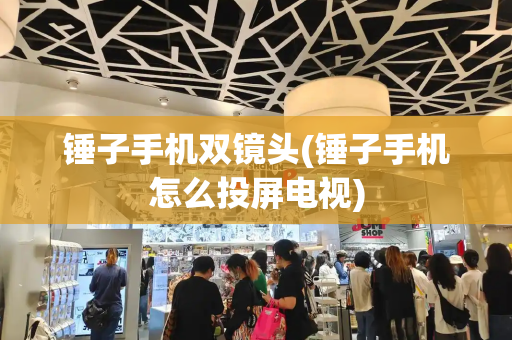 锤子手机双镜头(锤子手机怎么投屏电视)