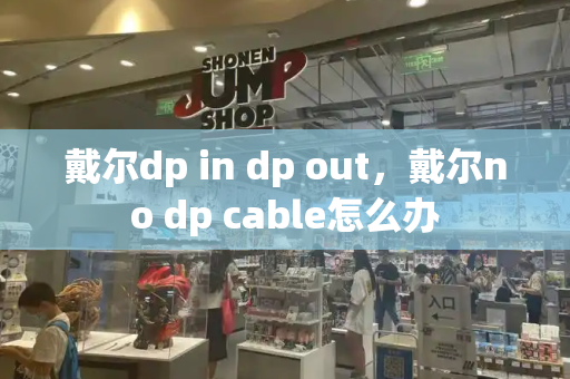 戴尔dp in dp out，戴尔no dp cable怎么办