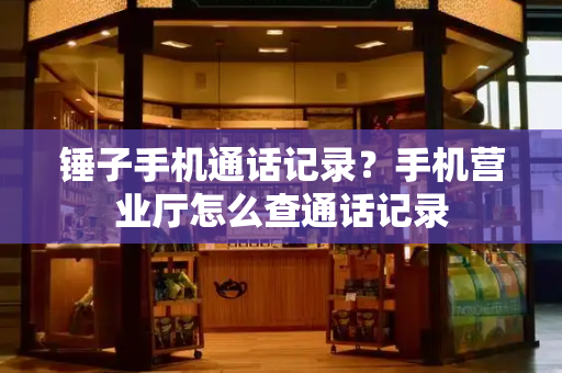 锤子手机通话记录？手机营业厅怎么查通话记录-第1张图片-星选测评