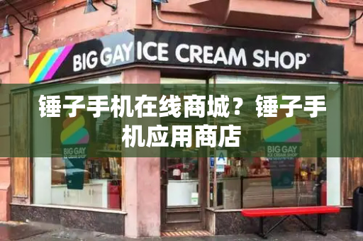 锤子手机在线商城？锤子手机应用商店