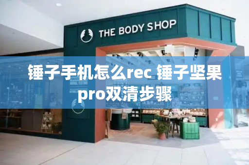 锤子手机怎么rec 锤子坚果pro双清步骤