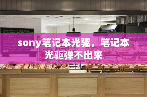 sony笔记本光驱，笔记本光驱弹不出来