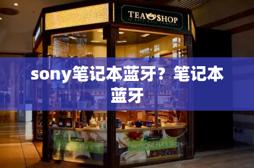 sony笔记本蓝牙？笔记本蓝牙