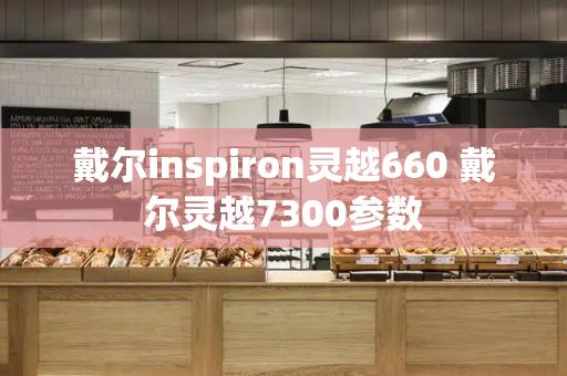 戴尔inspiron灵越660 戴尔灵越7300参数-第1张图片-星选值得买