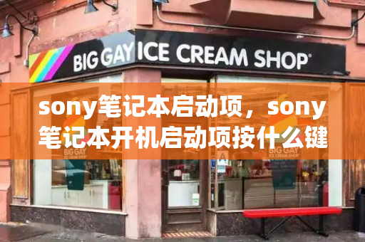 sony笔记本启动项，sony笔记本开机启动项按什么键-第1张图片-星选值得买