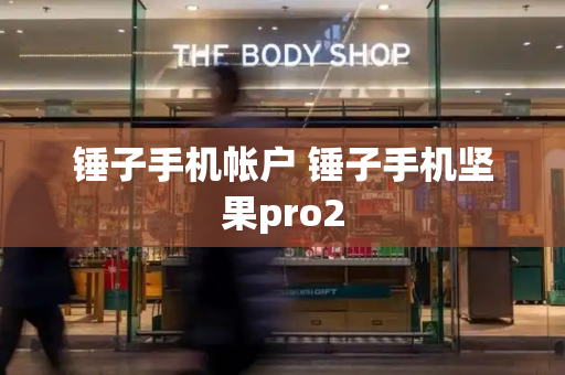 锤子手机帐户 锤子手机坚果pro2