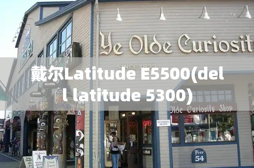 戴尔Latitude E5500(dell latitude 5300)