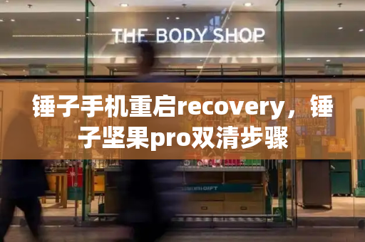 锤子手机重启recovery，锤子坚果pro双清步骤