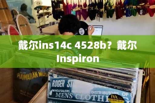 戴尔ins14c 4528b？戴尔Inspiron