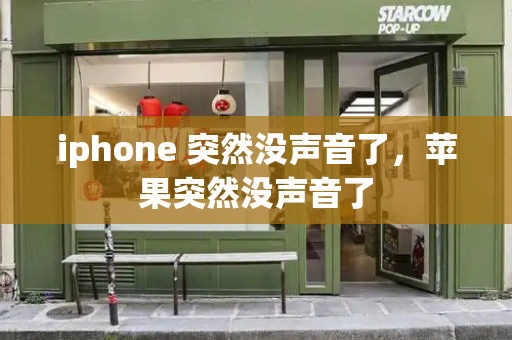 iphone 突然没声音了，苹果突然没声音了