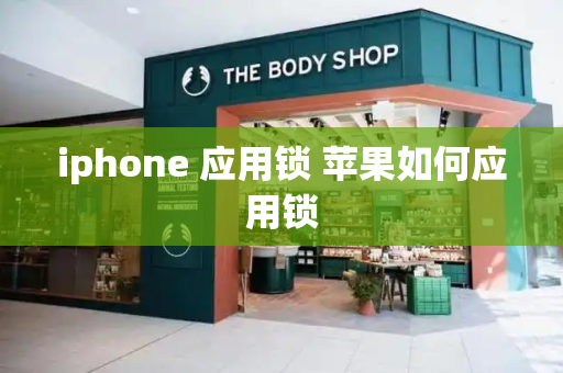 iphone 应用锁 苹果如何应用锁-第1张图片-星选测评