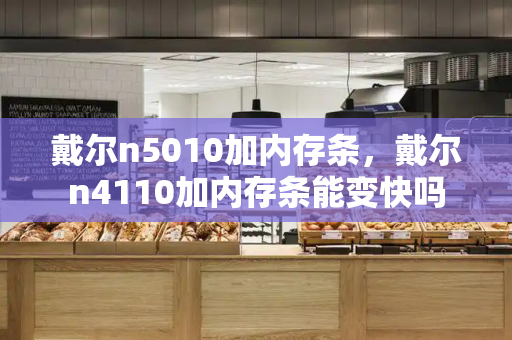 戴尔n5010加内存条，戴尔n4110加内存条能变快吗