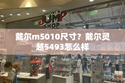 戴尔m5010尺寸？戴尔灵越5493怎么样