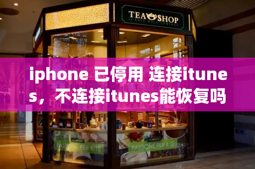 iphone 已停用 连接itunes，不连接itunes能恢复吗-第1张图片-星选测评