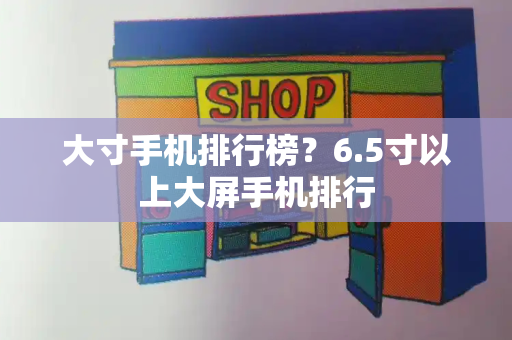 大寸手机排行榜？6.5寸以上大屏手机排行-第1张图片-星选测评