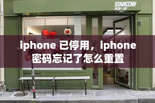 iphone 已停用，iphone密码忘记了怎么重置-第1张图片-星选测评