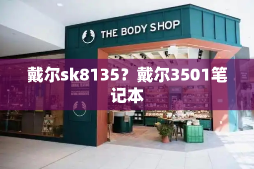 戴尔sk8135？戴尔3501笔记本