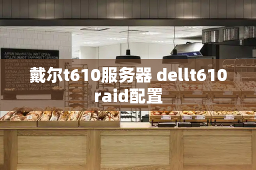 戴尔t610服务器 dellt610raid配置