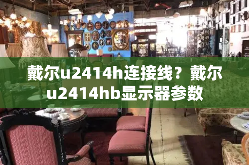 戴尔u2414h连接线？戴尔u2414hb显示器参数