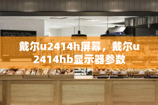 戴尔u2414h屏幕，戴尔u2414hb显示器参数