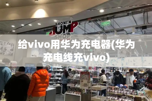 给vivo用华为充电器(华为充电线充vivo)-第1张图片-星选测评