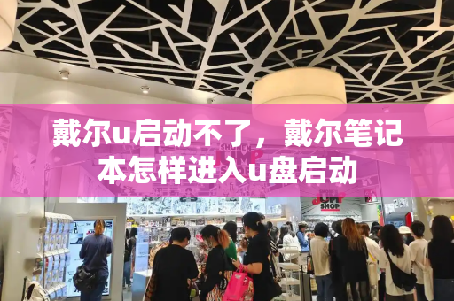 戴尔u启动不了，戴尔笔记本怎样进入u盘启动