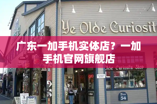 广东一加手机实体店？一加手机官网旗舰店-第1张图片-星选测评