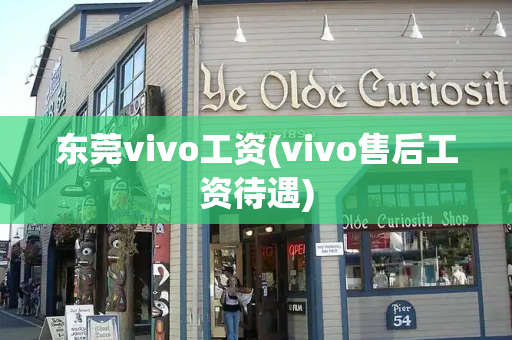 东莞vivo工资(vivo售后工资待遇)