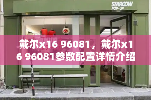 戴尔x16 96081，戴尔x16 96081参数配置详情介绍