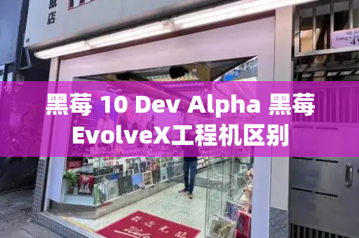 黑莓 10 Dev Alpha 黑莓EvolveX工程机区别-第1张图片-星选测评