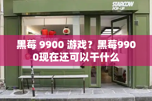 黑莓 9900 游戏？黑莓9900现在还可以干什么