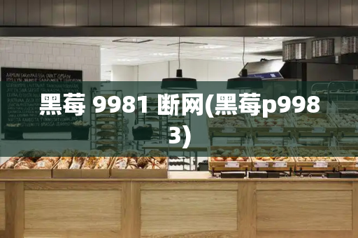 黑莓 9981 断网(黑莓p9983)-第1张图片-星选测评