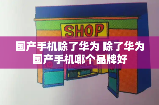 国产手机除了华为 除了华为国产手机哪个品牌好