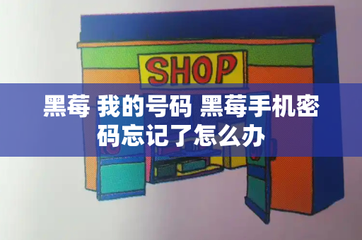 黑莓 我的号码 黑莓手机密码忘记了怎么办