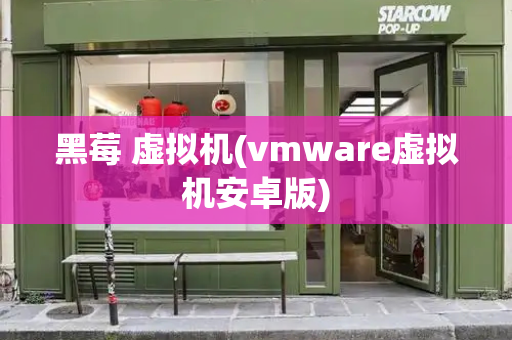 黑莓 虚拟机(vmware虚拟机安卓版)-第1张图片-星选测评