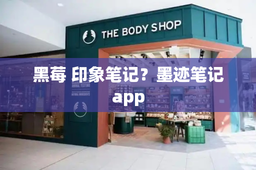 黑莓 印象笔记？墨迹笔记app