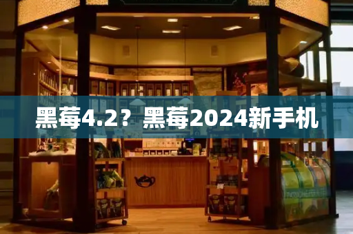 黑莓4.2？黑莓2024新手机-第1张图片-星选测评