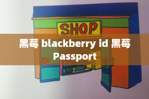 黑莓 blackberry id 黑莓Passport-第1张图片-星选测评