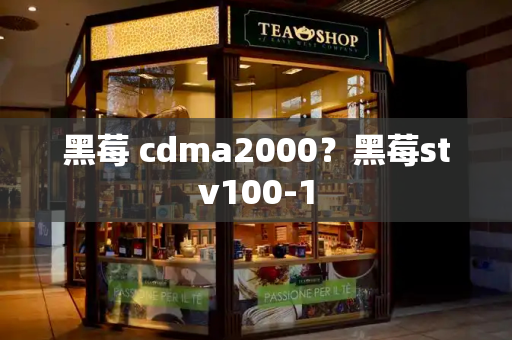 黑莓 cdma2000？黑莓stv100-1-第1张图片-星选测评