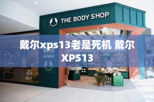 戴尔xps13老是死机 戴尔XPS13