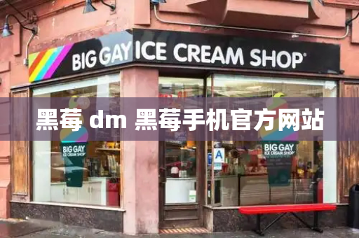 黑莓 dm 黑莓手机官方网站