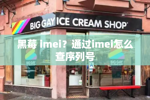 黑莓 imei？通过imei怎么查序列号-第1张图片-星选测评