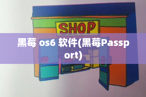 黑莓 os6 软件(黑莓Passport)-第1张图片-星选测评