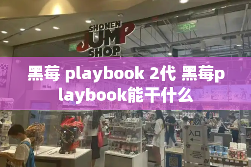 黑莓 playbook 2代 黑莓playbook能干什么