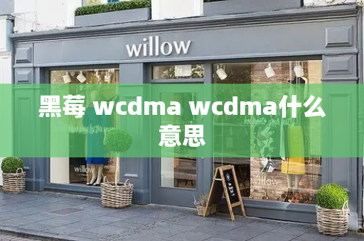 黑莓 wcdma wcdma什么意思-第1张图片-星选测评