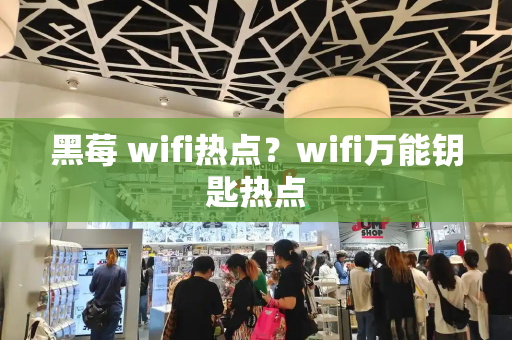 黑莓 wifi热点？wifi万能钥匙热点